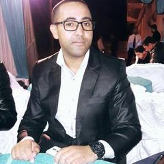 MOHAMED SALMI, analyst/developer