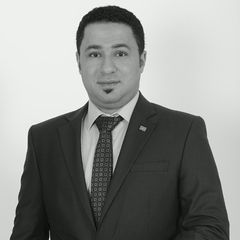 Ahmed Monir Salem, Projects Manager