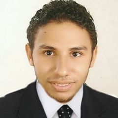 مصطفى محمود ابراهيم معوض, Project Manager