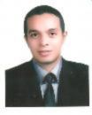 Ahmed Allam, Professional Sales Representative