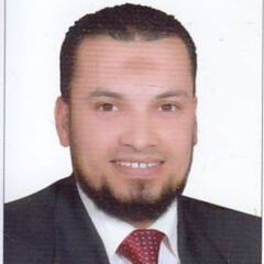 محمد سامي   عبد الرحيم, Logistics Manager