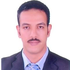 شريف المصري, Data Analyst Manager