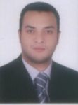 محمد بدير السيد اسماعيل, accountant