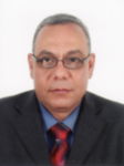 Fetouh Zaki Sayyed Hussin Abd El Aziz, مدير المشاريع