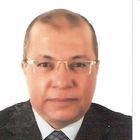 Amr Hammam, Marketing Director