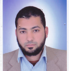 Said Abdel Rahiem shapan كانديل, Project Coordinator