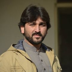 Salman Ahmad, News Reporter