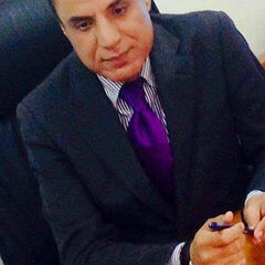 Rashad Moursi, Financial and Administrative Officer & international Business Transformer, Hotel Owner Reprs.