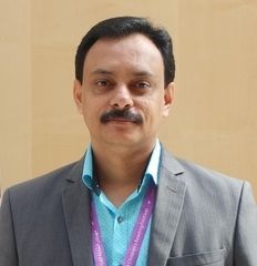 manesh mathew, Consultant Creative Director