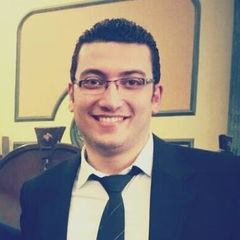 Mohamed Mahmoud Gamal El-Din, CEO