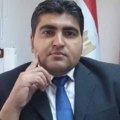 محمد عجيبة, section head business analysis