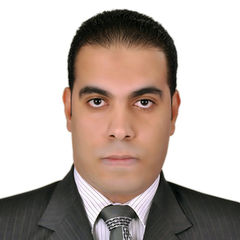 Mohammed ElSeedy, Finance Manager