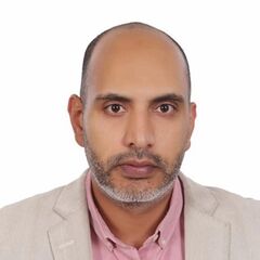 Samir Mahmoud  Zaki, Financial Consultant