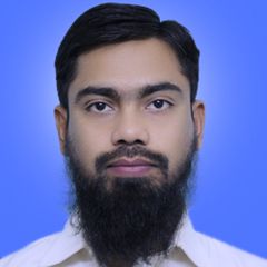 Majid Shafi Ahmad, Data Entry Operator (BS-12)