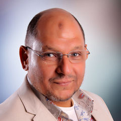إبراهيم الشنيكي, Chief Executive Officer