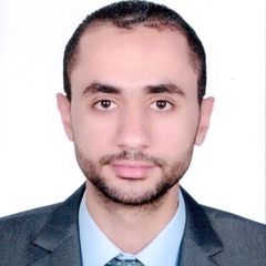 أحمد عزت سلامه احمد حسن, Senior Accountant