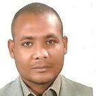 Mohamed Eltairy, civil engineer