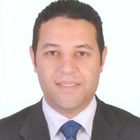 Haitham Niazy Al-Rashedy, Business Consultant