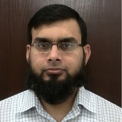 ساجد محمود, Business Intelligence and Reporting Specialist
