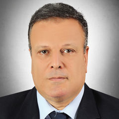 وحيد زكي, Director in charge of the law firm