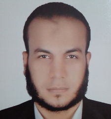 Mahmoud Mohamed Mansour Salim