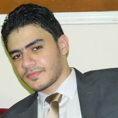 Ahmed Farouk Mohammed Helmy, Sales Executive