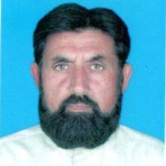 Maqsood Ahmed, Document Controller