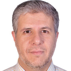 Mohammad Nsouli, IT & Business Analyst Manager