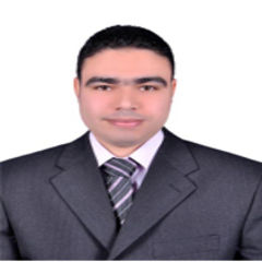 محسن محمد بيومى محمد, Site Construction manager