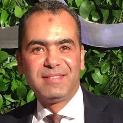 Walid El-Hamouly, CFO / Deputy GM - Finance & Operations (Board Member)