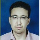 Mahmoud Shouman, Software Developer