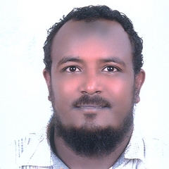 Abdulmotaleb  Ahmed