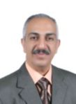 Fady Habib, Owner Representative of construction