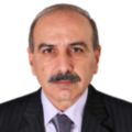 safaa mohammed wasfi ridha, Programme Analyst