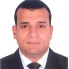 Essam El Ganainy, Finance Manager