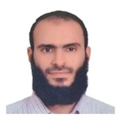 مصطفى سامى محمد شعوط, SAP Portfolio Manager (PMO)