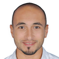 Ramy El Melegy, Civil engineer