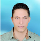 أحمد شحته محمد خليل خليل, صحفي