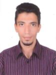 Tamer Kamal, Electrical engineer