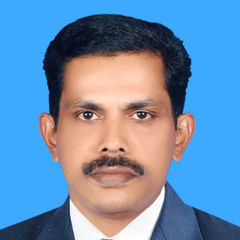 Reghu Ramakrishnan Mullippara