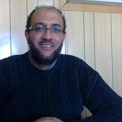احمد البدوي, مراجع حسابات في الدعم الفني المالي