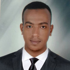 محمد حسين محمد عبدة حسين, IT Helpdesk Technician