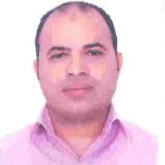 محمد صلاح محمد, Account Manager