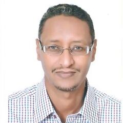 Hussein sanad, Senior Network Consultant /Solutions architect 