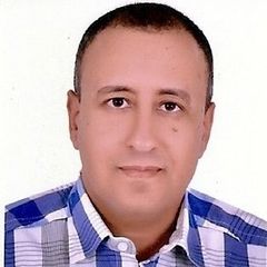 Amr Amer, Operations & Maintenance Director
