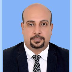 Mohamed Seifeldin, Finance Manager