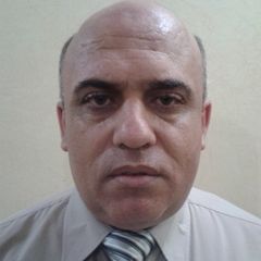 jihad jomhawi, ASSISTANT PROFESSOR