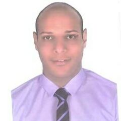 عمرو علاء الدين محمد عطية, Unit Sales Manager