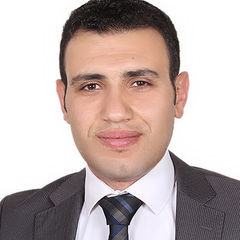 sherif elmansy, Project Manager