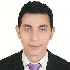 محمد الشافعي, Organization Development Executive